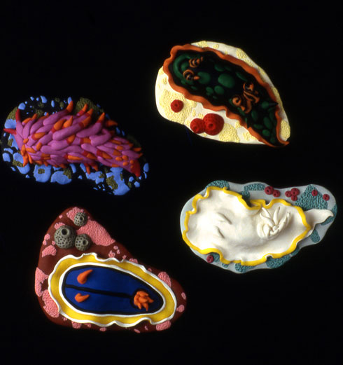 Nudibranchs-brooches