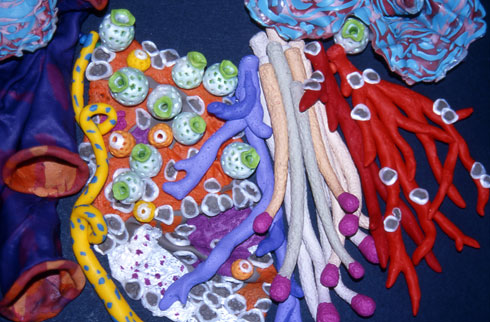 Riotess-Reef-detail